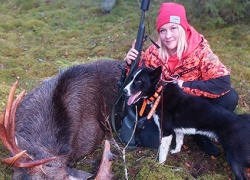 Vastapainoa toimistoarkeen koirista ja metsästyksestä